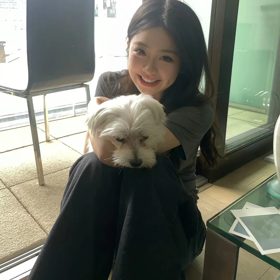 妖怪图鉴